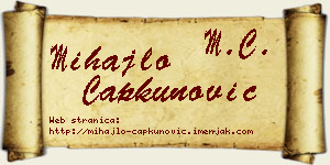Mihajlo Čapkunović vizit kartica
